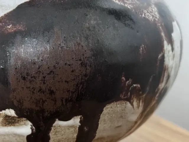 Fired sample of Glassy Wood